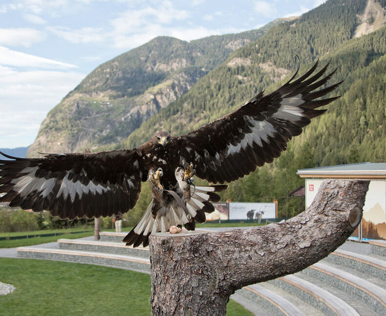 Birds of Prey Park,
Umhausen